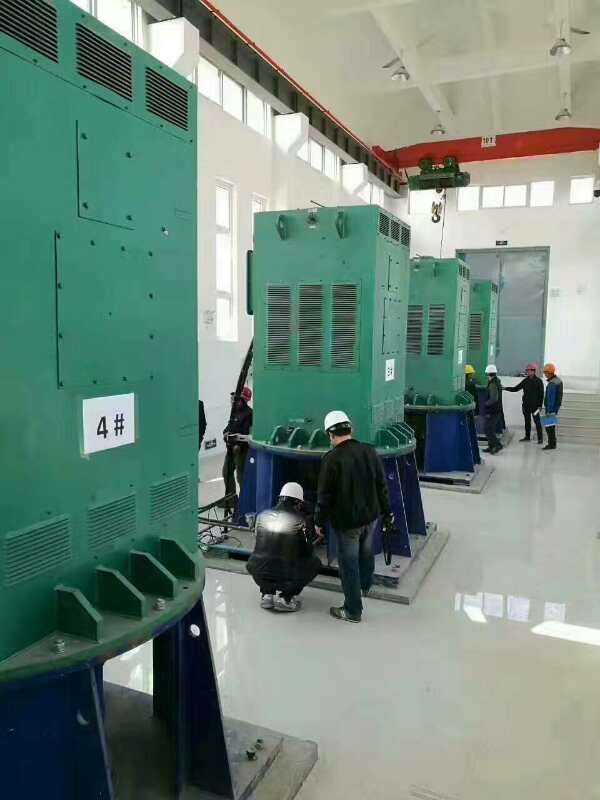 YR6302-6某污水处理厂使用我厂的立式高压电机安装现场