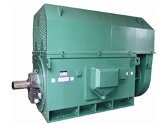 YR6302-6Y系列6KV高压电机