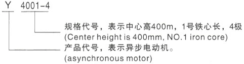 西安泰富西玛Y系列(H355-1000)高压YR6302-6三相异步电机型号说明